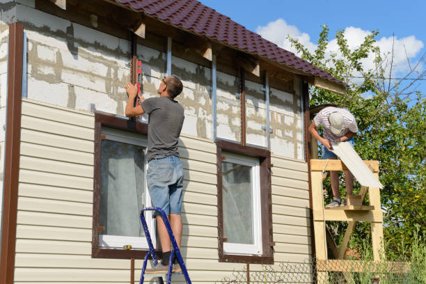 Best Steel Siding Installation  in Auburn, KS